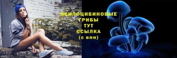 гидропоника Балахна
