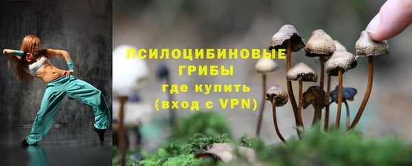твердый Балабаново
