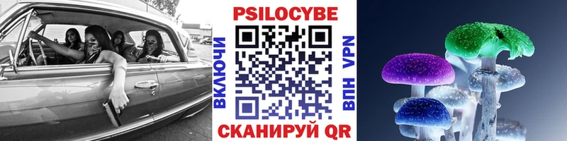Галлюциногенные грибы мицелий  Зверево 